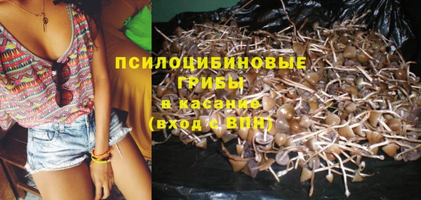 дурь Коряжма