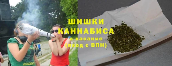дурь Коряжма
