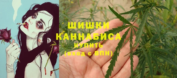 прущий лед Краснослободск
