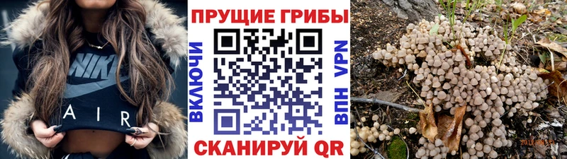 Псилоцибиновые грибы ЛСД Киренск